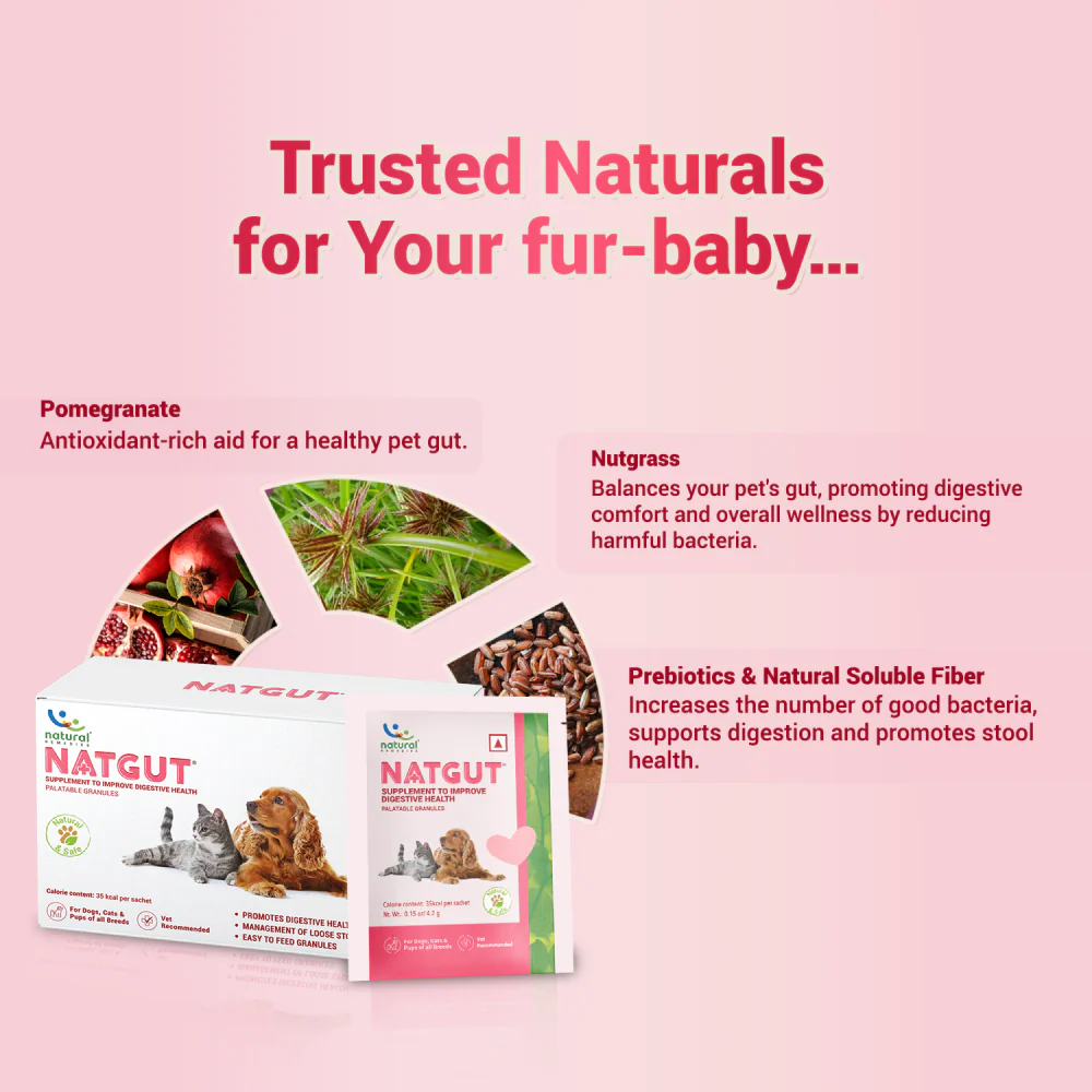 Natural Remedies Natgut Granules 4.2 GMS Sachet Supplement for Cats and Dogs - Image 4