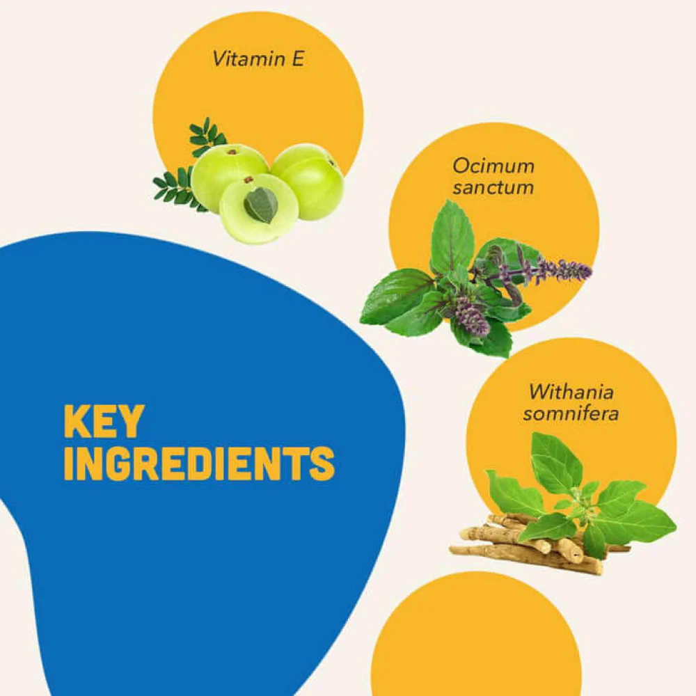Natural Remedies Natlife Energy & Immunity Supplement Paste for Dogs and Cats - Image 4