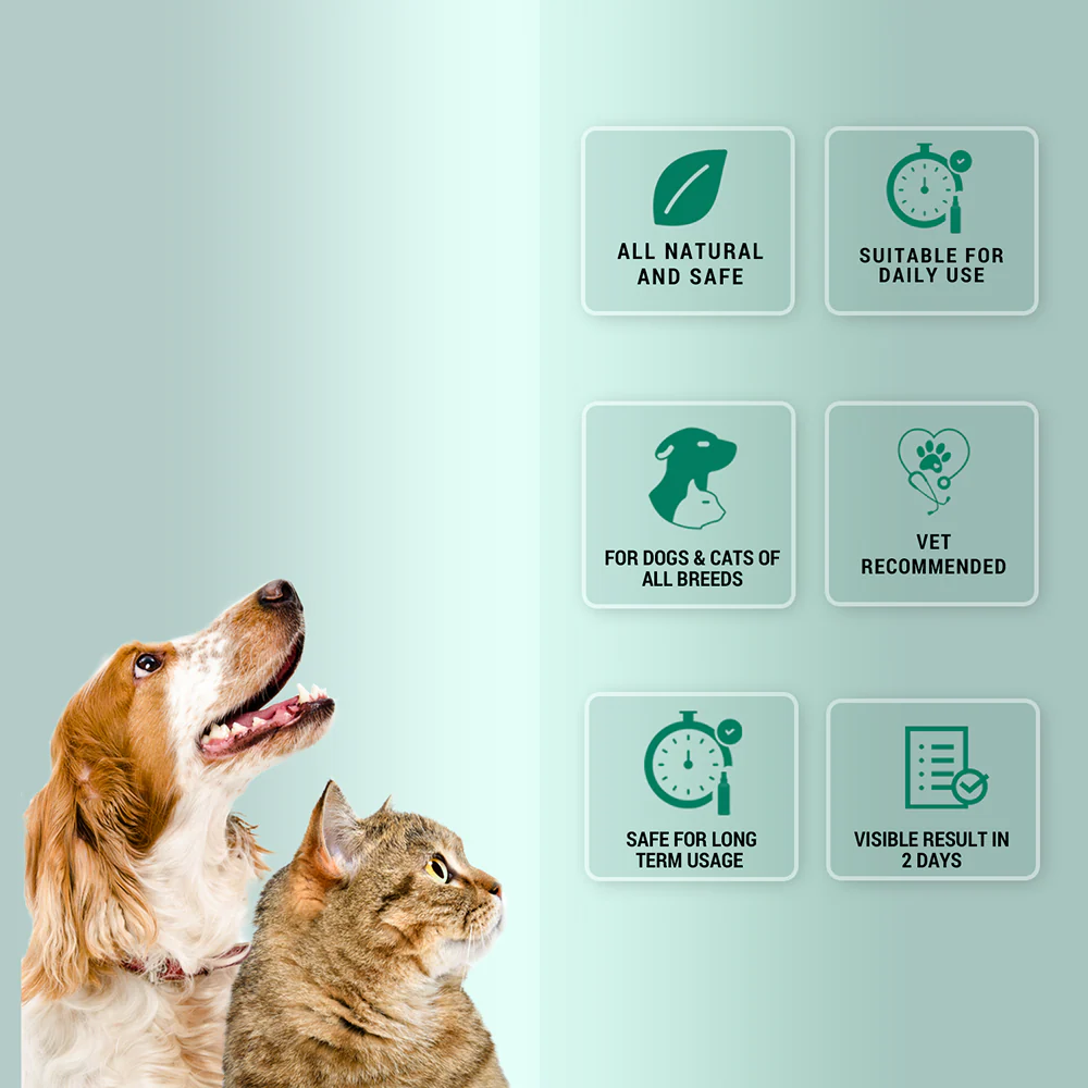 Natural Remedies Nomo Ticks Home Spray for Dogs and Cats - Image 3