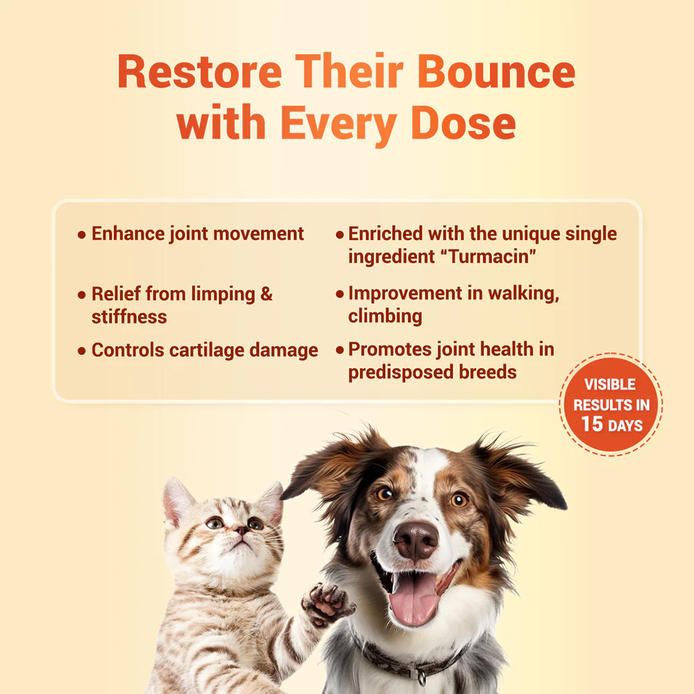 Natural Remedies Orthoron Joint Supplement Tablets for Dogs and Cats - Image 2