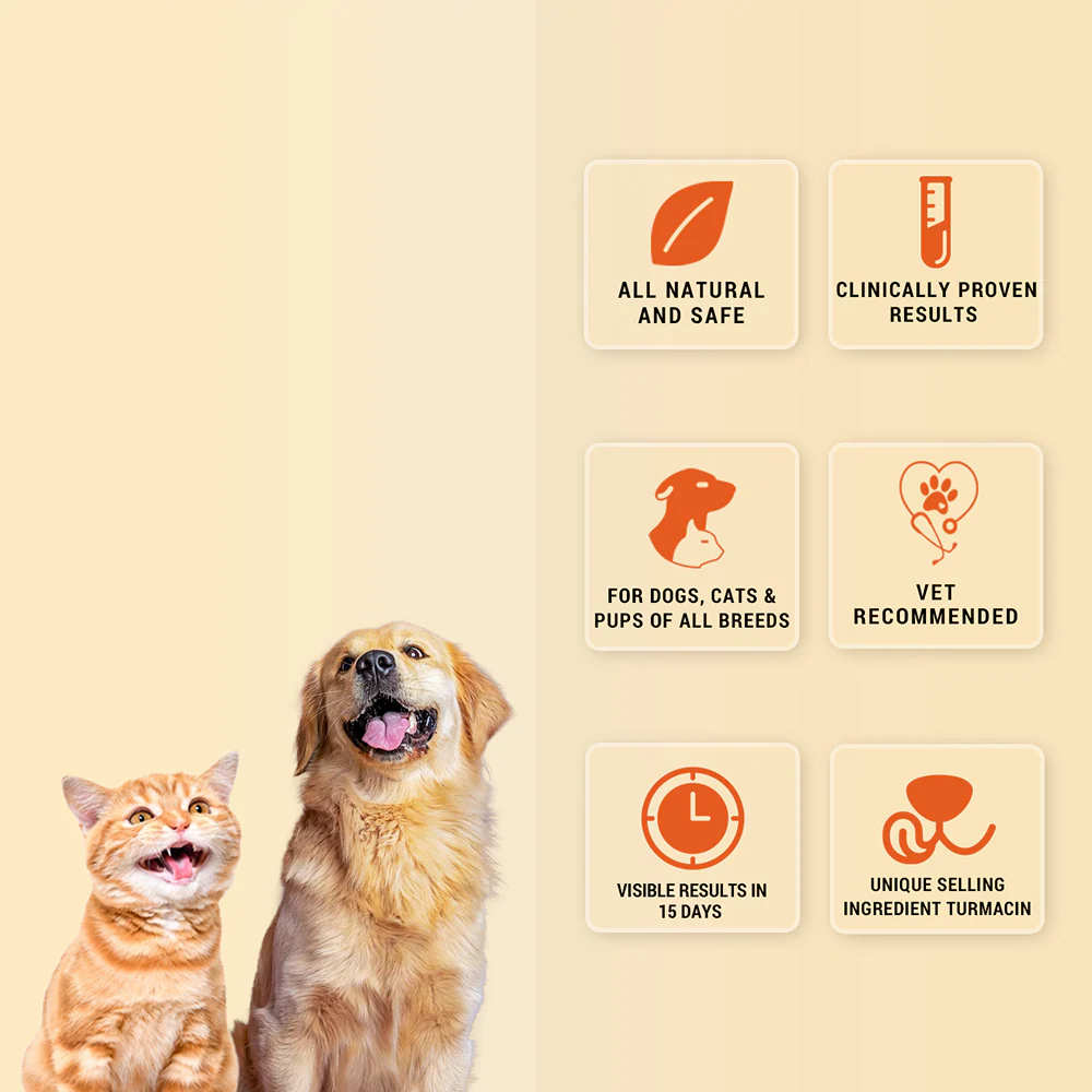 Natural Remedies Orthoron Joint Supplement Tablets for Dogs and Cats - Image 3