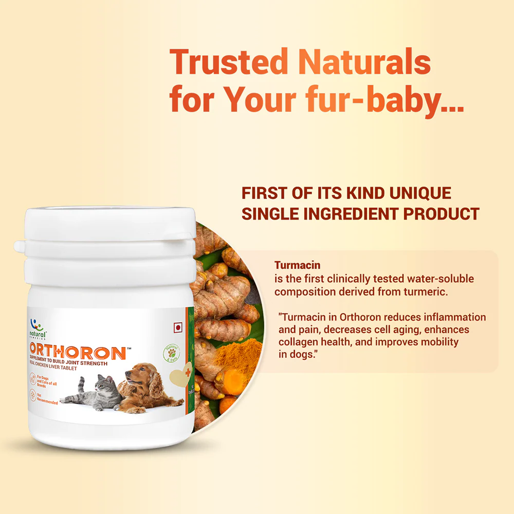 Natural Remedies Orthoron Joint Supplement Tablets for Dogs and Cats - Image 4