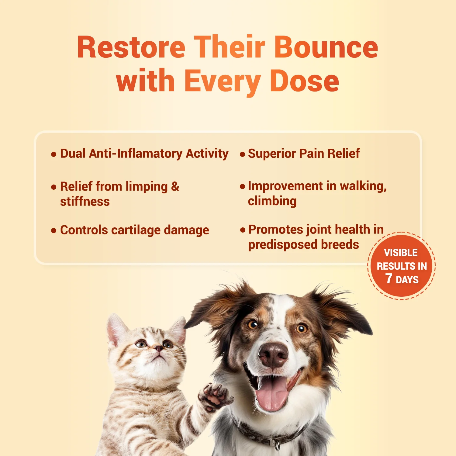 Natural Remedies Orthoron Plus Joint Supplement Tablets for Dogs and Cats - Image 2