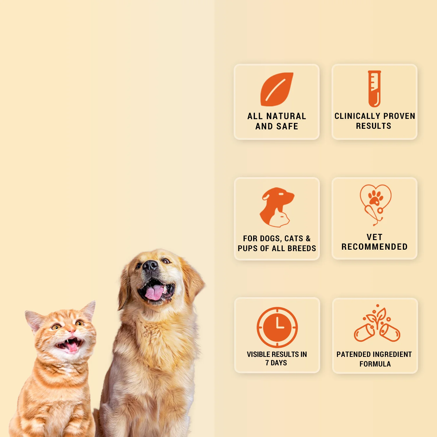 Natural Remedies Orthoron Plus Joint Supplement Tablets for Dogs and Cats - Image 3