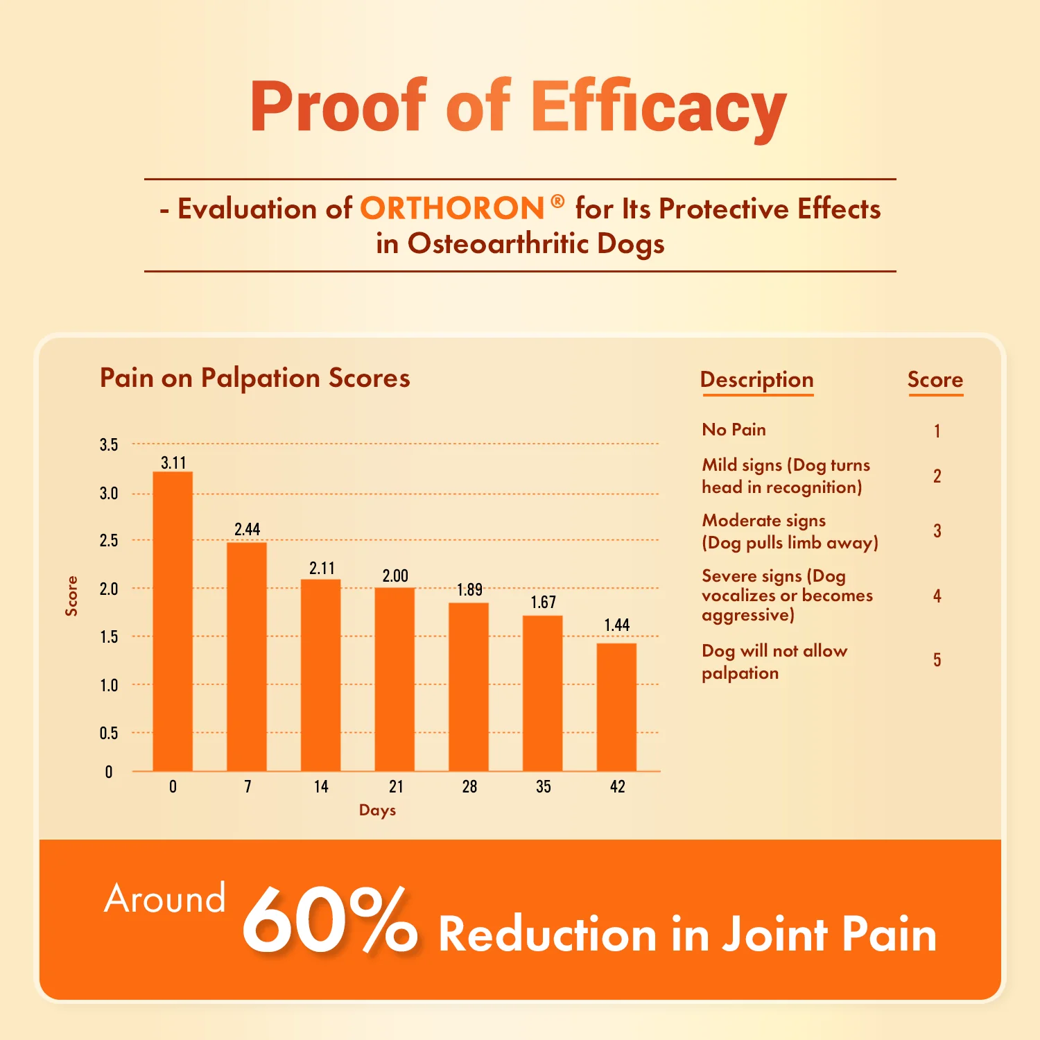 Natural Remedies Orthoron Plus Joint Supplement Tablets for Dogs and Cats - Image 4