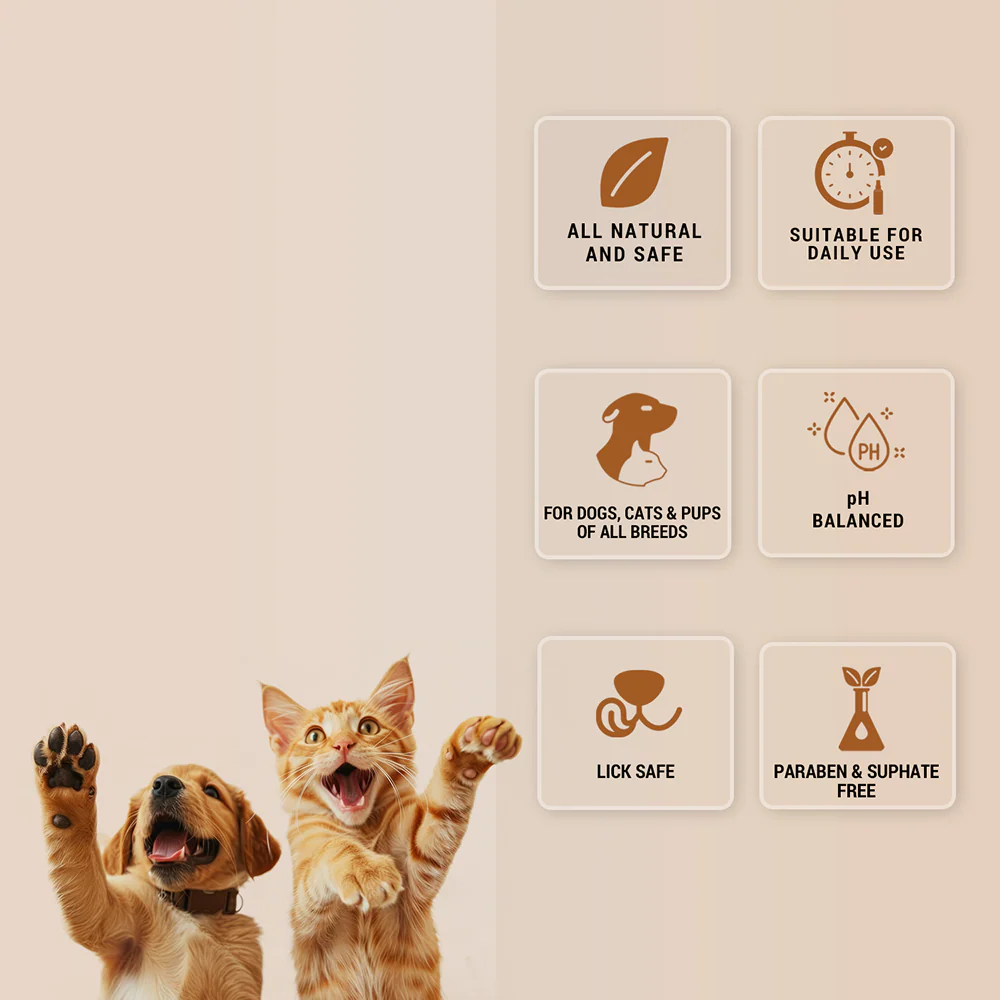 Natural Remedies Paw guard for Dogs and Cats - Image 3