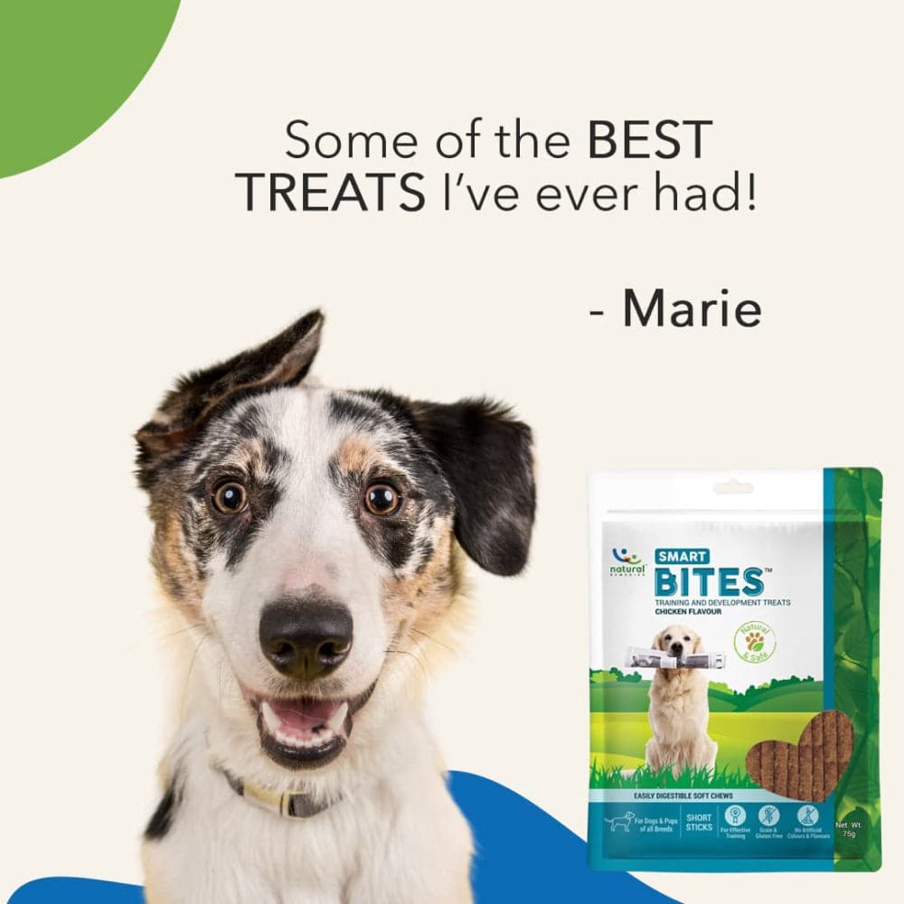 Natural Remedies Smart Bites Chew Treats for Dogs - Image 5