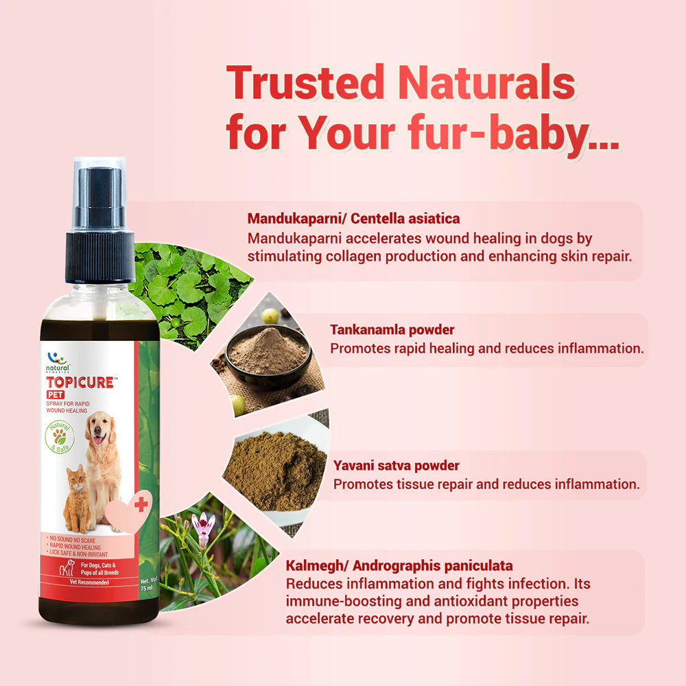 Natural Remedies Topicure Pet Wound Healing Spray for Dogs and Cats - Image 2