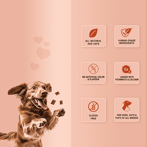 Natural Remedies Treat O'Clock Chicken and Egg Treats for Dogs - Image 2
