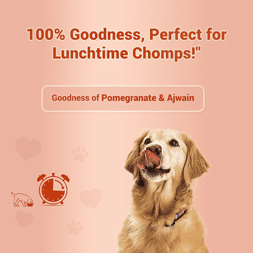 Natural Remedies Treat O'Clock Chicken and Egg Treats for Dogs - Image 4