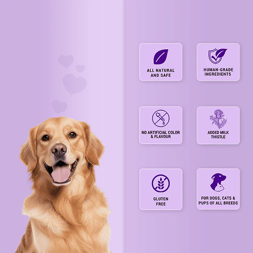 Natural Remedies Treat O'Clock Chicken and Rice Treats for Dogs - Image 3