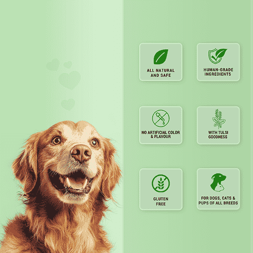 Natural Remedies Treat O'Clock Hemp with Chicken Meat Treats for Dogs - Image 3