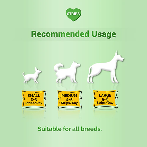Natural Remedies Treat O'Clock Hemp with Chicken Meat Treats for Dogs - Image 4