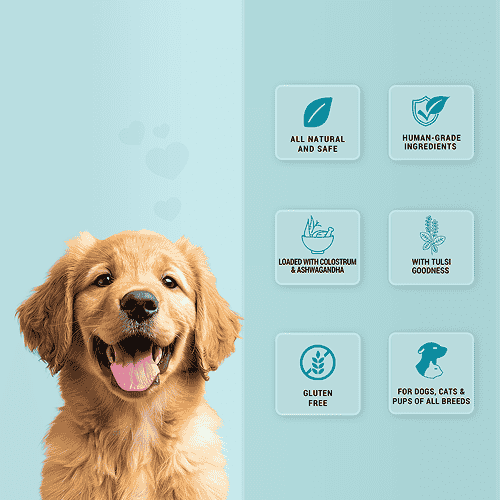 Natural Remedies Treat O'Clock Milk with Chicken Meat Treats for Dogs - Image 3