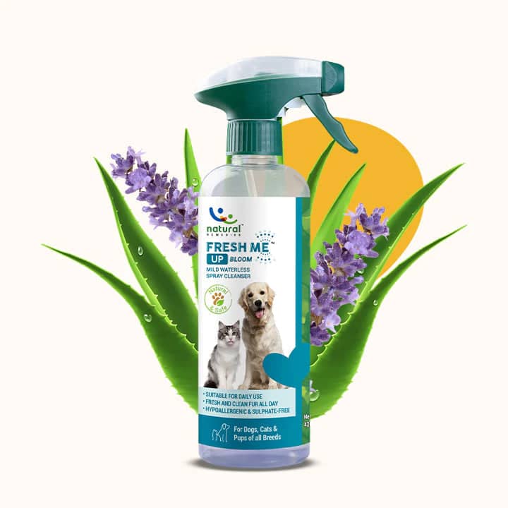 Natural Remedies Treat O'Clock Strawberry, Fresh Me Up Shampoo & Orthoron Joint Support Tablets Dog Combo - Image 14