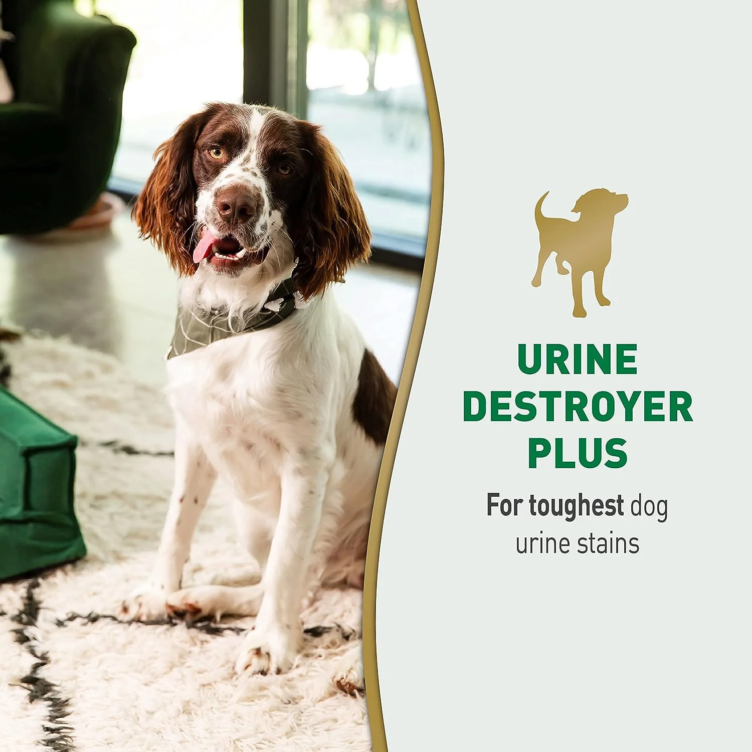 Nature’s Miracle Urine Destroyer Plus for Dogs - Image 13