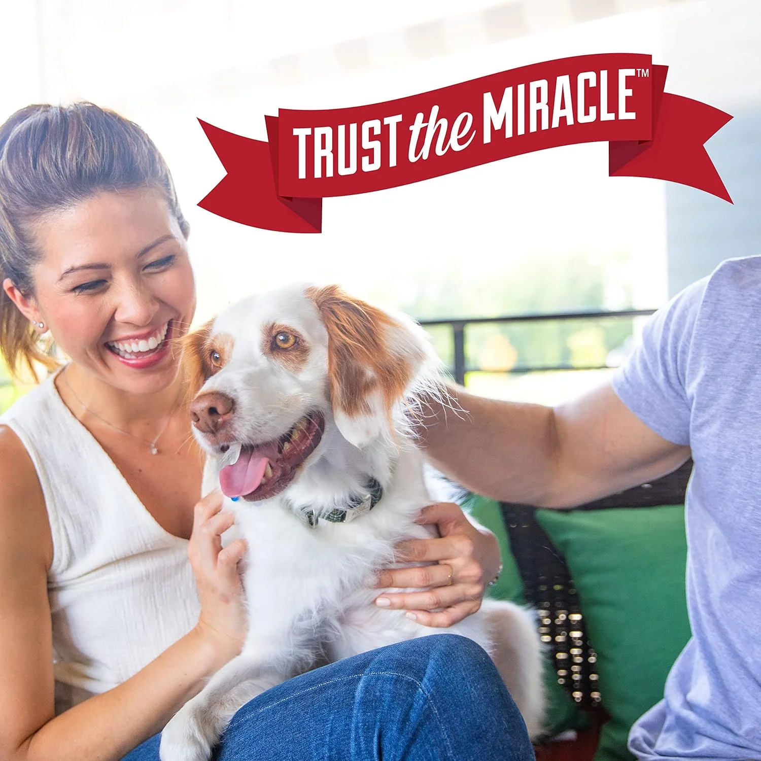 Nature’s Miracle Urine Destroyer Plus for Dogs - Image 9
