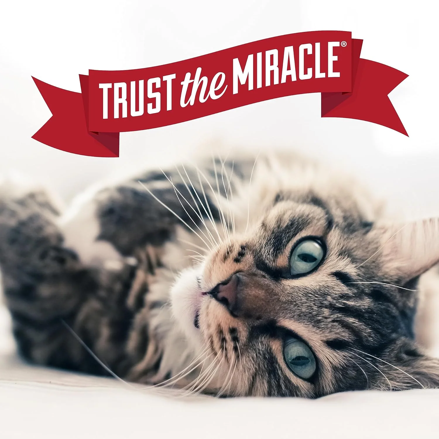 Nature's Miracle Air Care Deodorizer for Dogs and Cats - Image 8