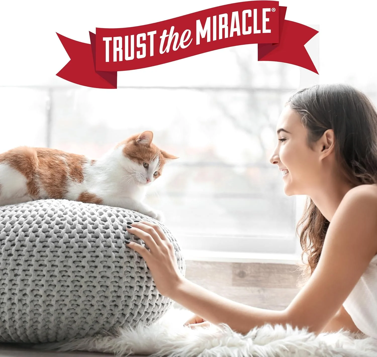 Nature's Miracle JFC Light Citrus Scented Stain and Odor Remover for Cats - Image 11