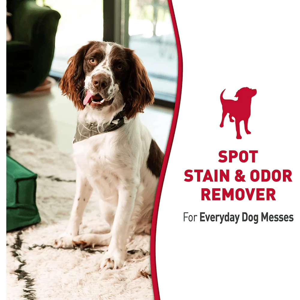 Nature's Miracle Stain and Odor Remover for Dogs - Image 9