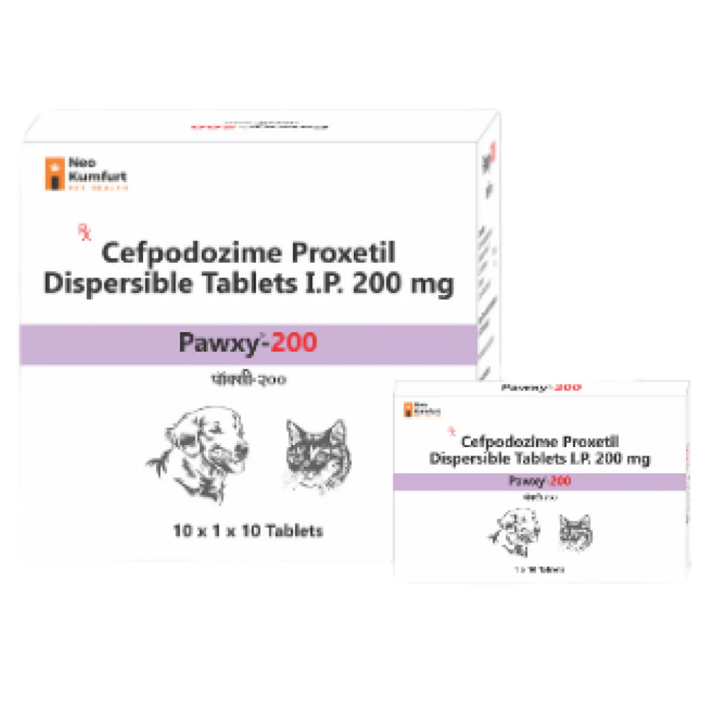 Neo Kumfurt Pawxy 200mg (Cefpodoxime Proxetil) Tablet for Dogs and Cats - Image 2