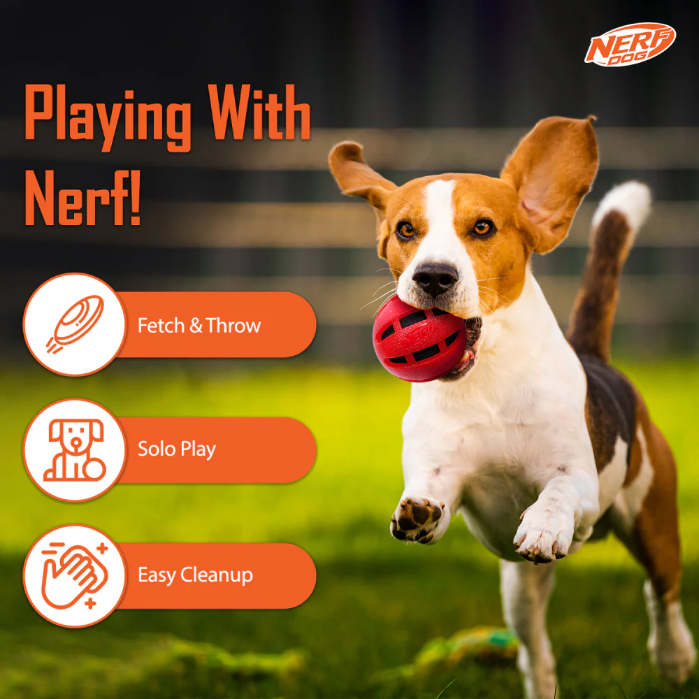Nerf Bash Checker Squeak Crunch Ball Toy for Dogs (Red) - Image 3