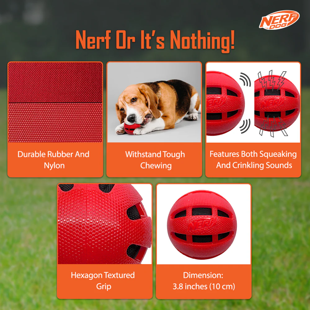 Nerf Bash Checker Squeak Crunch Ball Toy for Dogs (Red) - Image 5