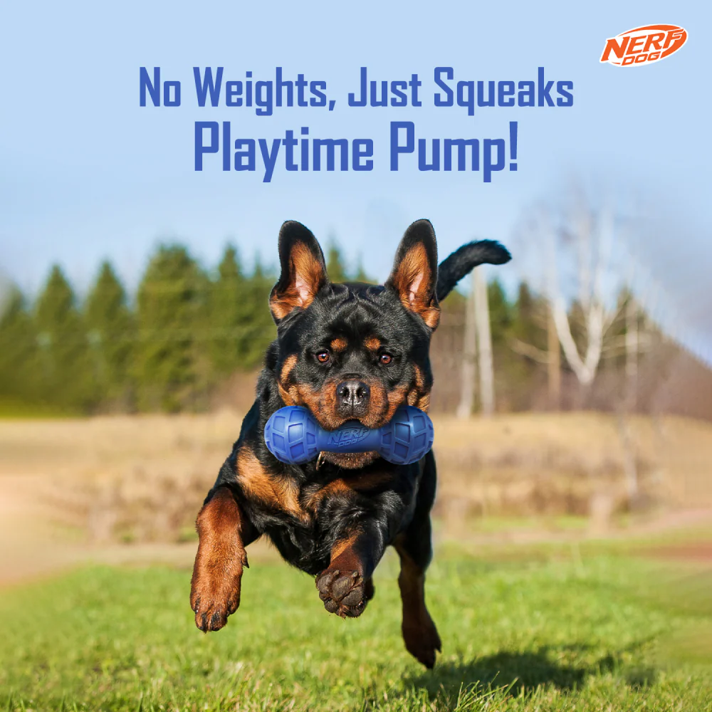 Nerf Bash EXO Micro Squeak Barbell Toy for Dogs (Blue/Green) - Image 3