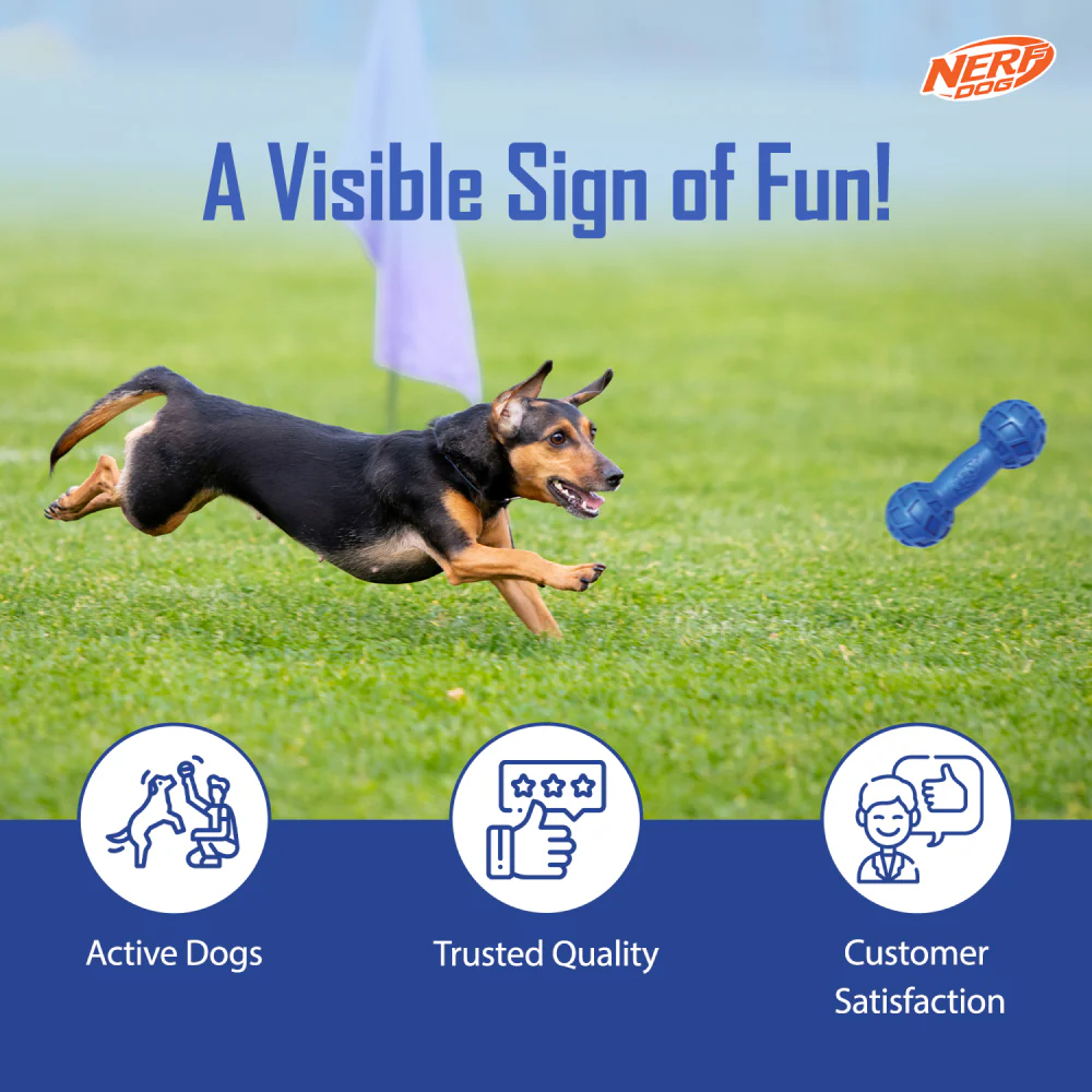 Nerf Bash EXO Micro Squeak Barbell Toy for Dogs (Blue/Green) - Image 4