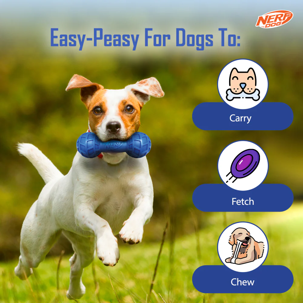 Nerf Bash EXO Micro Squeak Barbell Toy for Dogs (Blue/Green) - Image 6