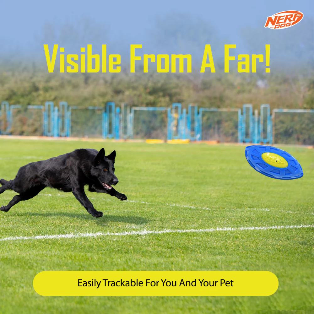 Nerf Bash EXO Micro Squeak Football Toy for Dogs (Blue/Green) - Image 5