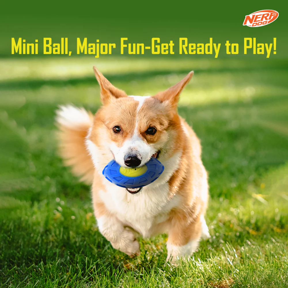 Nerf Bash EXO Micro Squeak Football Toy for Dogs (Blue/Green) - Image 7