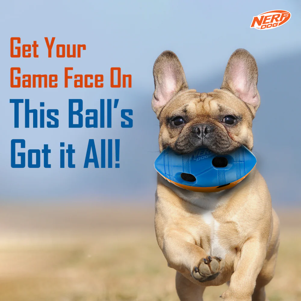 Nerf Bash Squeak and Crunch Football Toy for Dogs (Blue/Orange) - Image 4