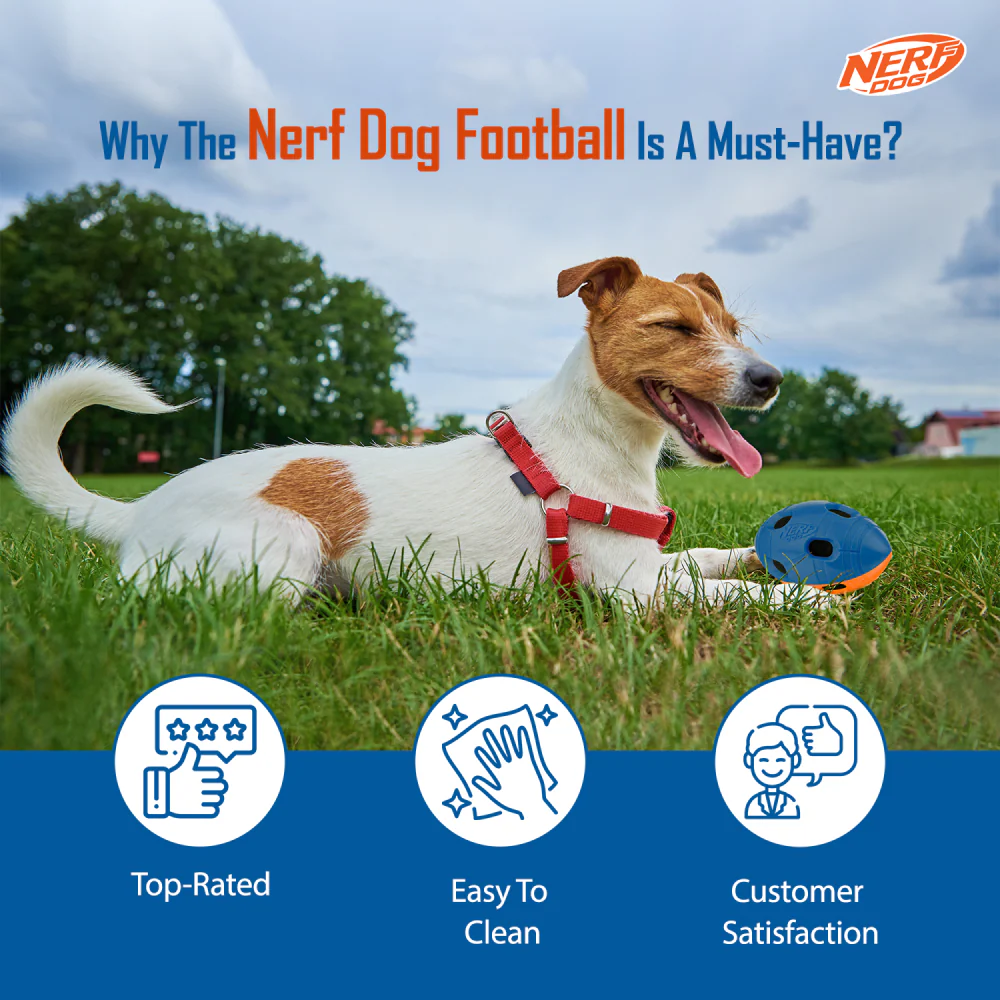Nerf Bash Squeak and Crunch Football Toy for Dogs (Blue/Orange) - Image 7