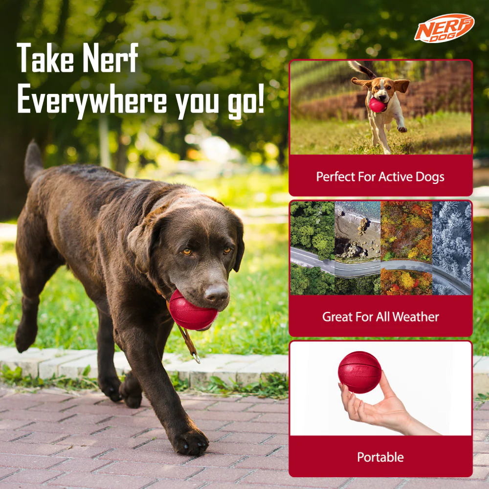 Nerf Bash Transparent TPR Classic Squeak Ball Toy for Dogs (Red) - Image 3