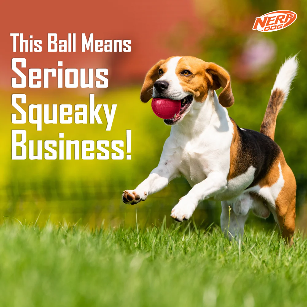 Nerf Bash Transparent TPR Classic Squeak Ball Toy for Dogs (Red) - Image 4