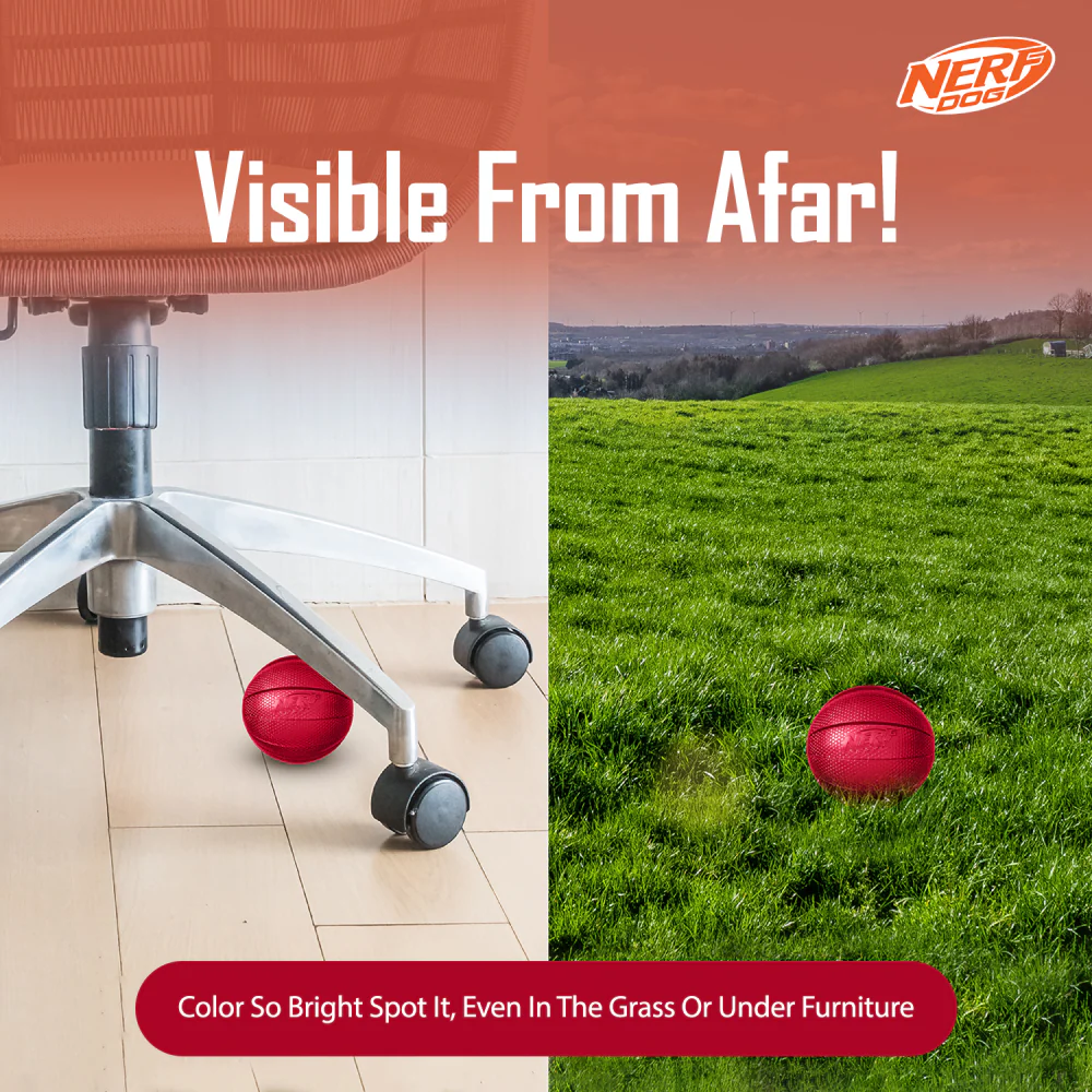 Nerf Bash Transparent TPR Classic Squeak Ball Toy for Dogs (Red) - Image 6