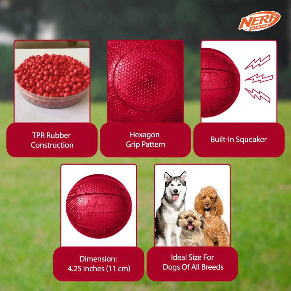 Nerf Bash Transparent TPR Classic Squeak Ball Toy for Dogs (Red) - Image 7
