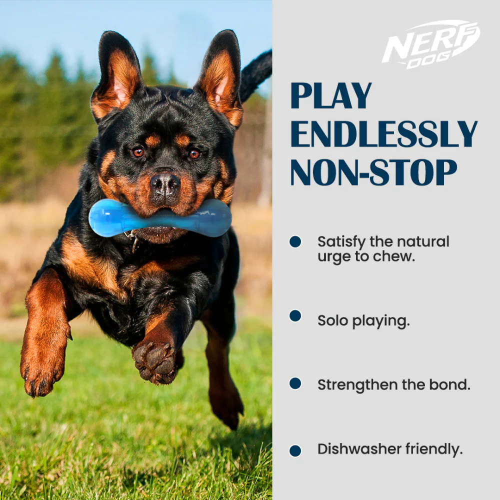 Nerf Bash Ultra Tough TPR Bone Toy for Dogs (Blue) - Image 3
