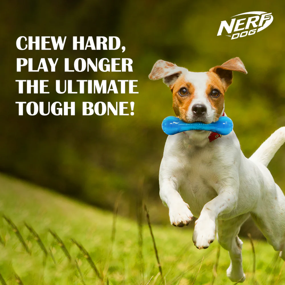 Nerf Bash Ultra Tough TPR Bone Toy for Dogs (Blue) - Image 5