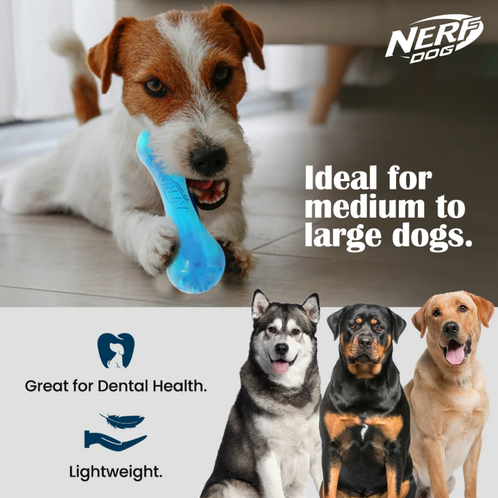 Nerf Bash Ultra Tough TPR Bone Toy for Dogs (Blue) - Image 6