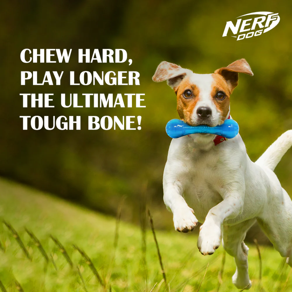 Nerf Bash Ultra Tough TPR Bone Toy for Dogs (Blue) - Image 7