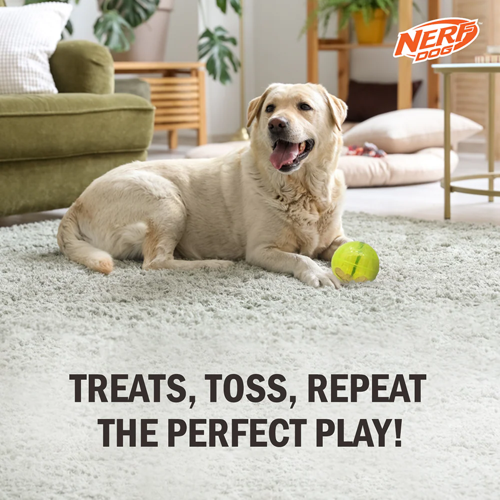 Nerf Dog Bungee Treat Ball Toy for Dogs (Green) - Image 4