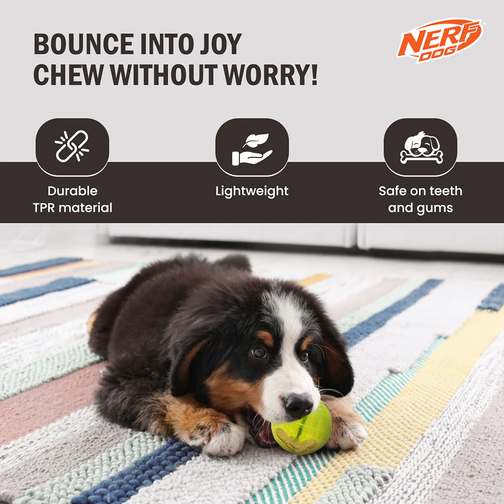 Nerf Dog Bungee Treat Ball Toy for Dogs (Green) - Image 5