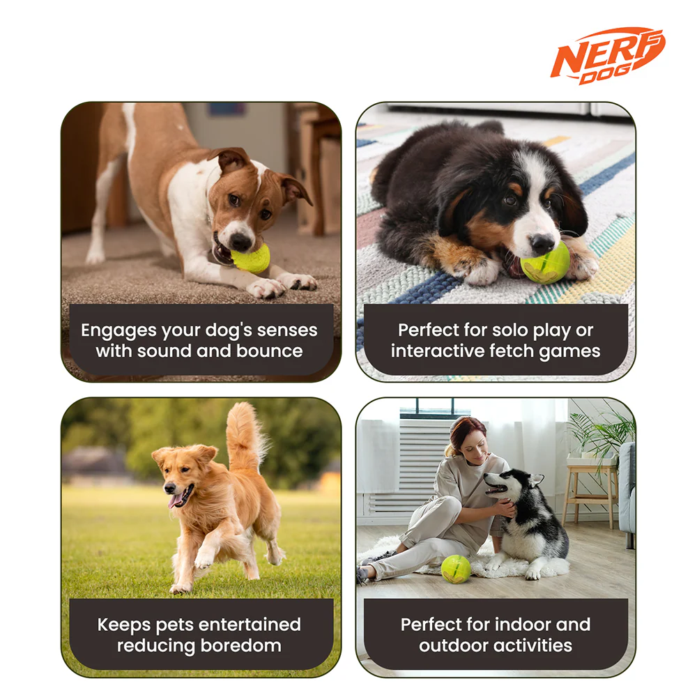 Nerf Dog Bungee Treat Ball Toy for Dogs (Green) - Image 6