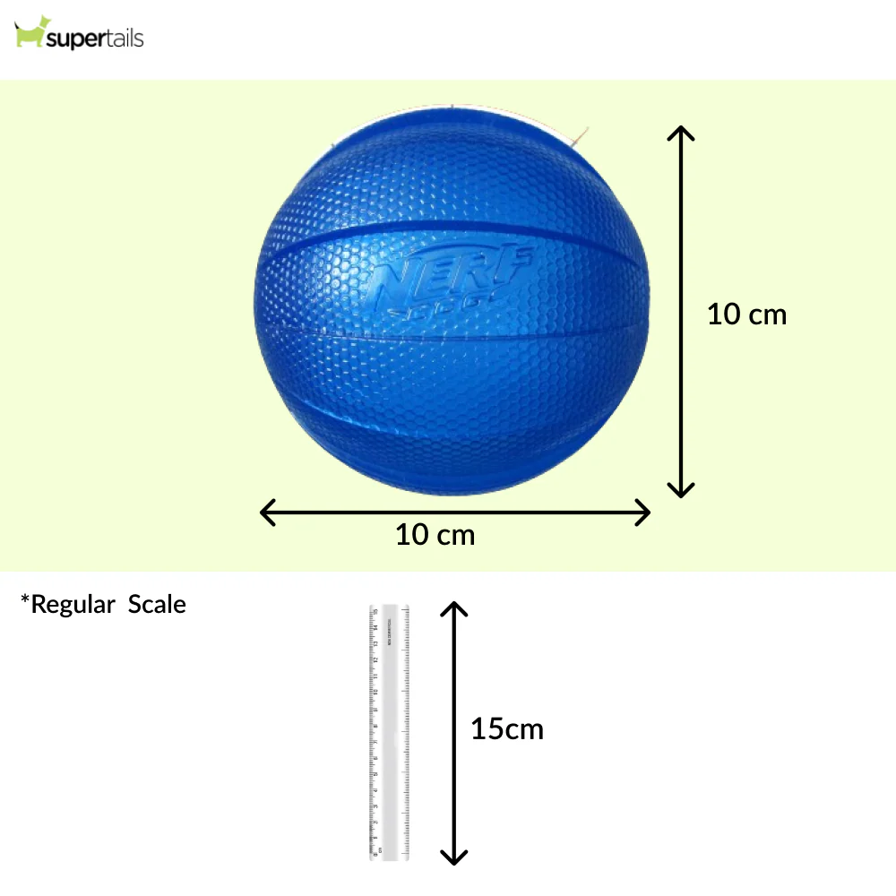 Nerf Dog Classic Squeak Transparent TPR Ball Toy for Dogs (Blue) - Image 2