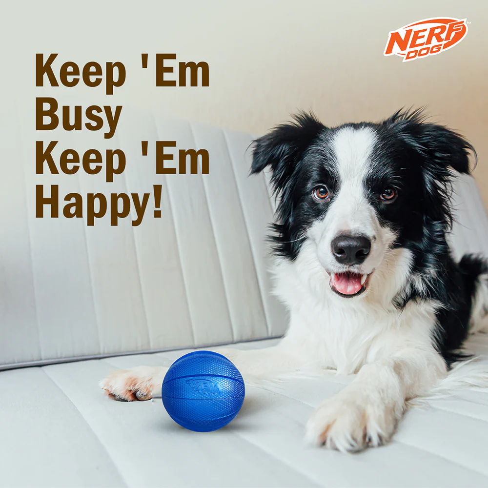 Nerf Dog Classic Squeak Transparent TPR Ball Toy for Dogs (Blue) - Image 4