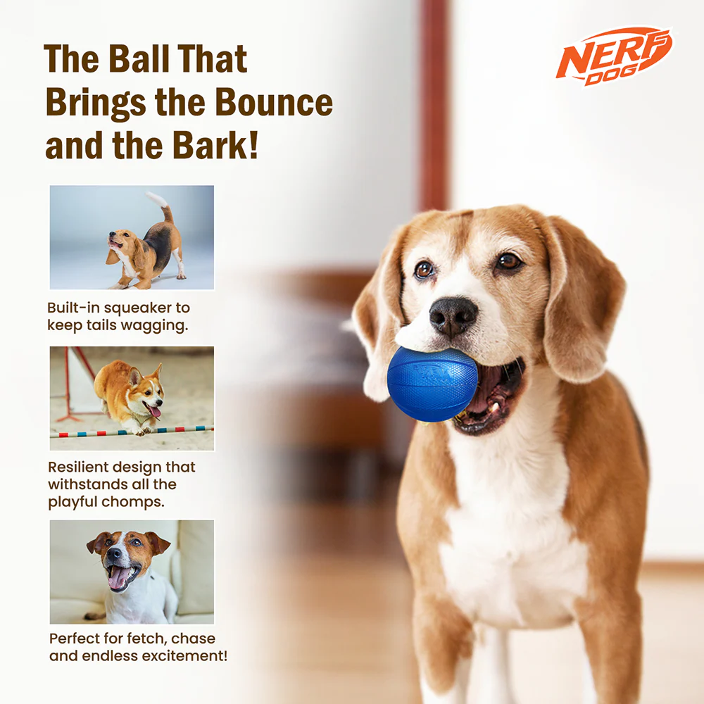 Nerf Dog Classic Squeak Transparent TPR Ball Toy for Dogs (Blue) - Image 5