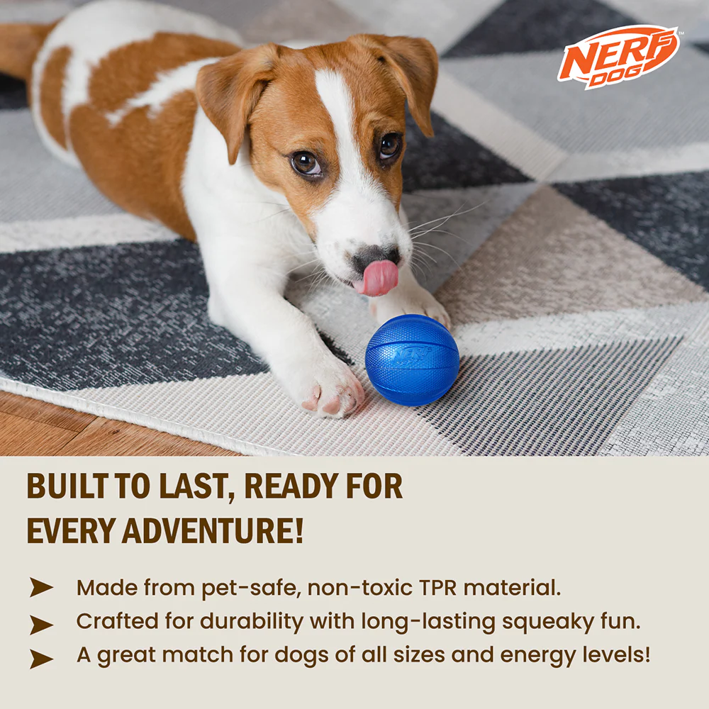Nerf Dog Classic Squeak Transparent TPR Ball Toy for Dogs (Blue) - Image 8