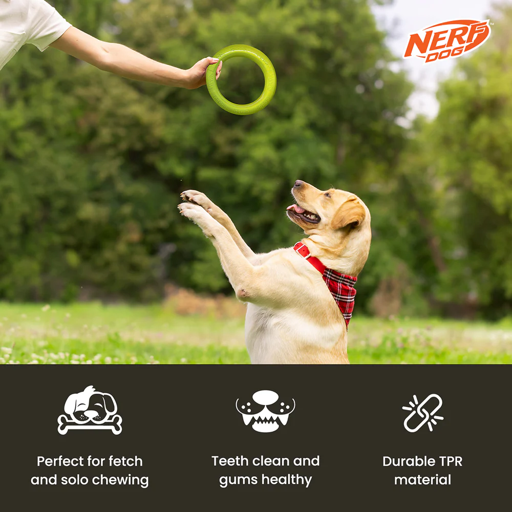Nerf Dog Dental Tug Ring Toy for Dogs (Green) - Image 6